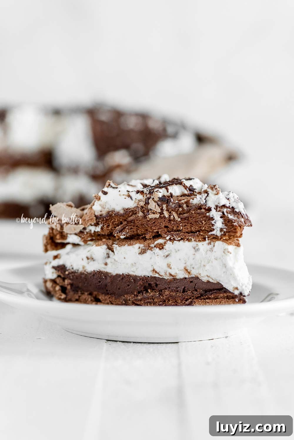Chocolate Meringue Layer Cake Recipe for Crispy, Cloud-Soft Layers 4 Chocolate Meringue Layer Cake | All Images © Beyond the Butter, LLC