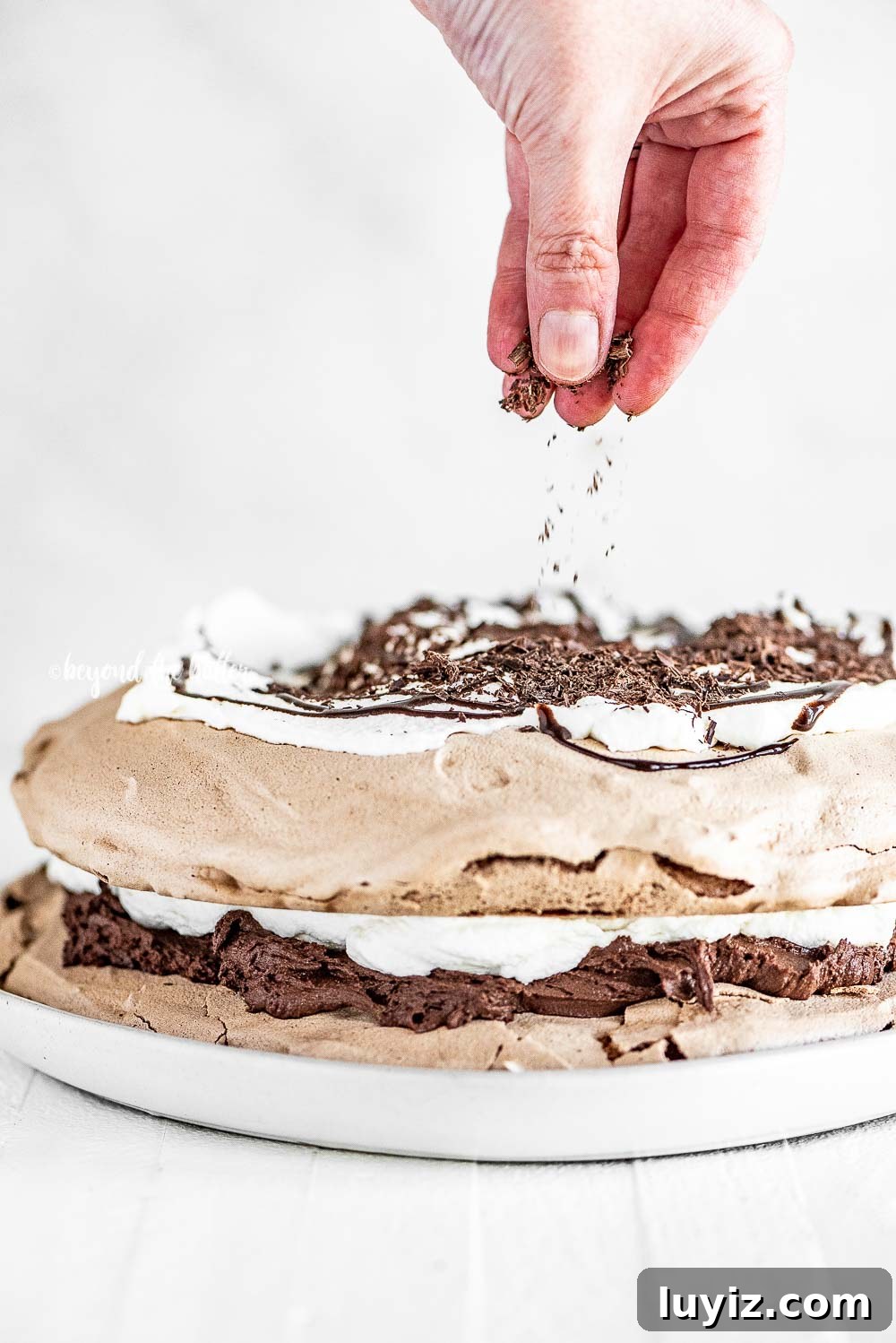 Chocolate Meringue Layer Cake Recipe for Crispy, Cloud-Soft Layers 5 Chocolate Meringue Layer Cake recipe | All Images © Beyond the Butter, LLC