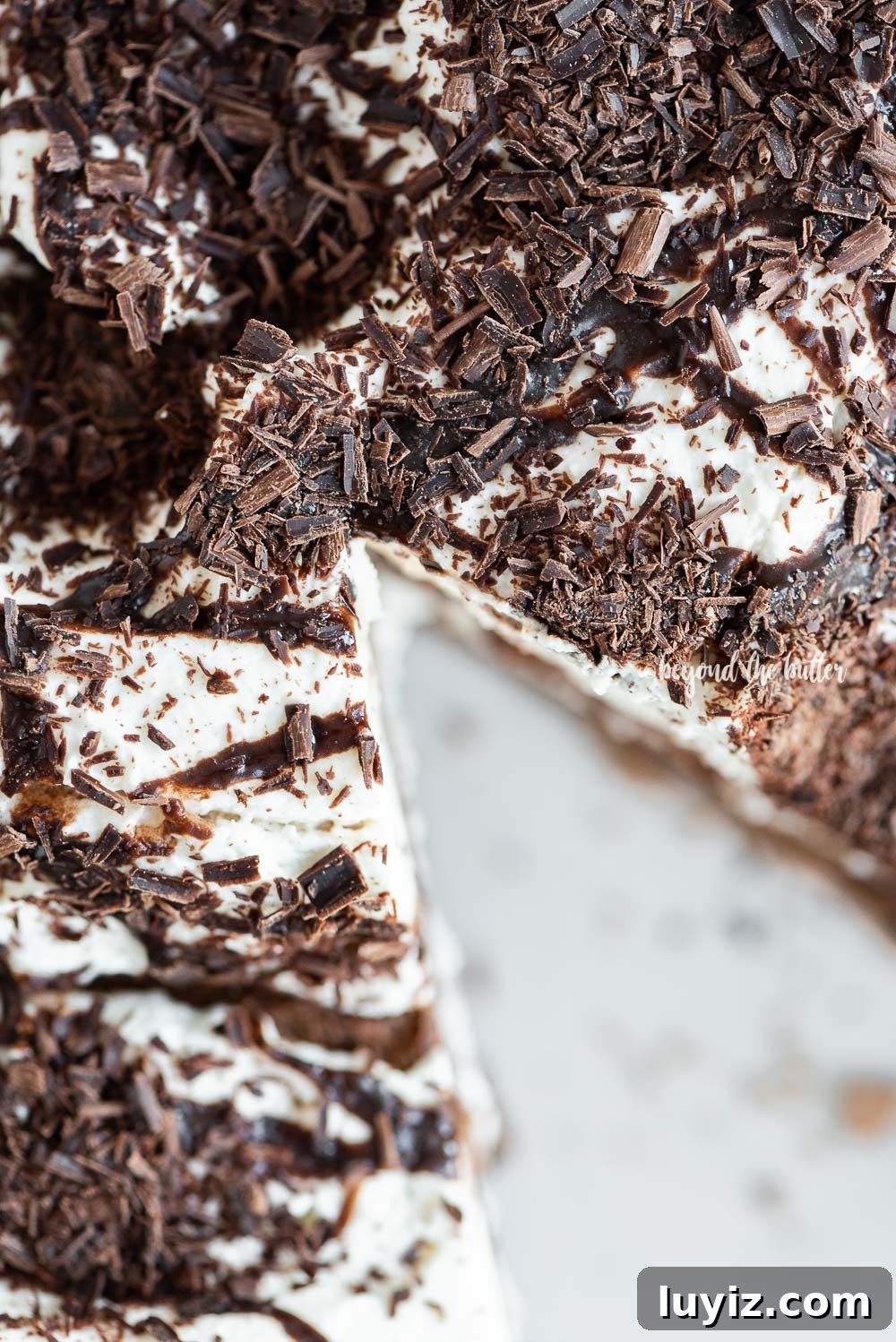 Chocolate Meringue Layer Cake Recipe for Crispy, Cloud-Soft Layers 6 Chocolate Meringue Layer Cake | All Images © Beyond the Butter, LLC