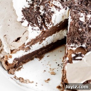 Chocolate Meringue Layer Cake Recipe for Crispy, Cloud-Soft Layers 8 Slice removed from chocolate meringue layer cake on dessert plate on white table.