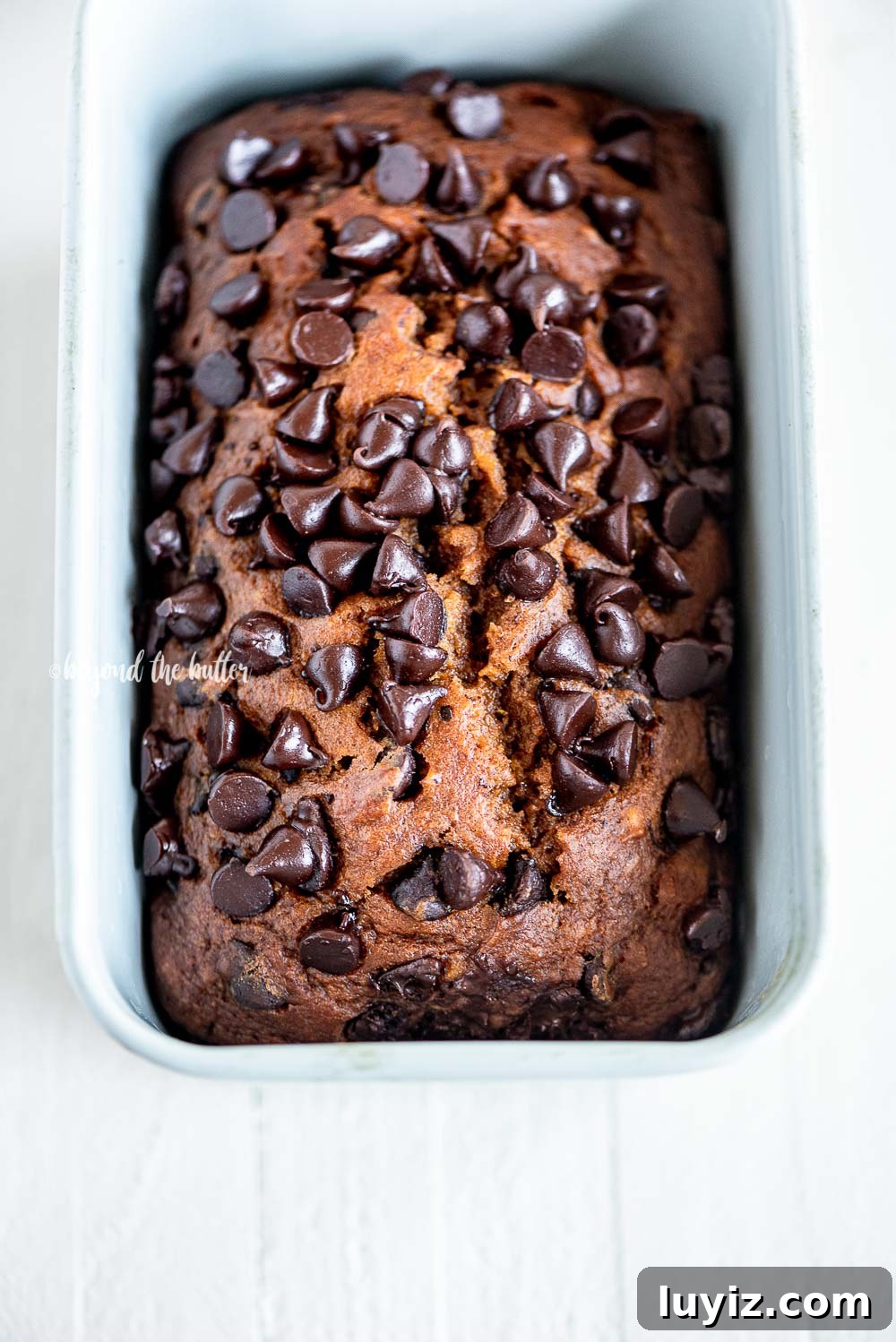 One-Bowl Chocolate Chip Pumpkin Bread Recipe 3 One Bowl Chocolate Chip Pumpkin Bread recipe | All Images © Beyond the Butter, LLC