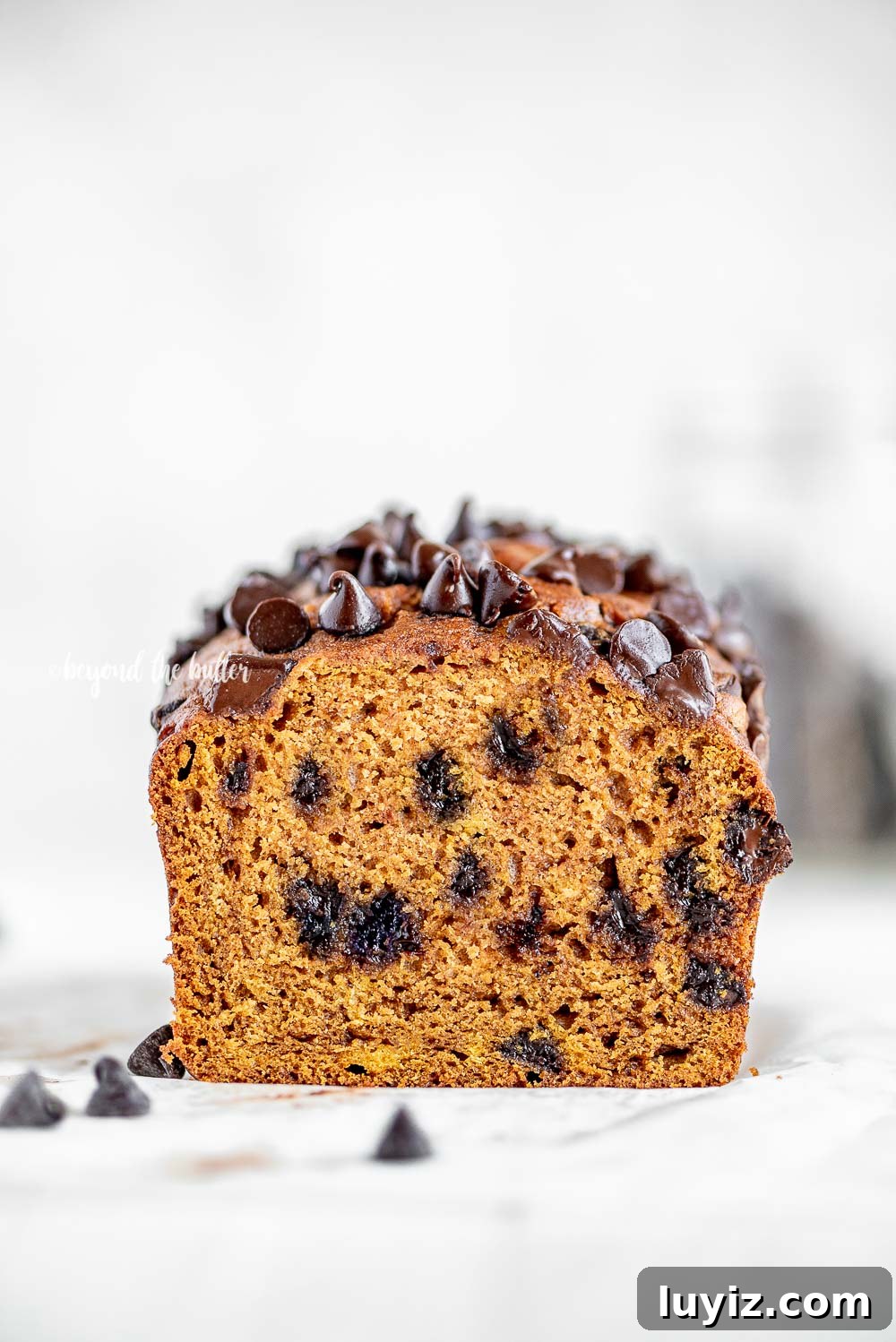 One-Bowl Chocolate Chip Pumpkin Bread Recipe 4 One Bowl Chocolate Chip Pumpkin Bread | All Images © Beyond the Butter, LLC