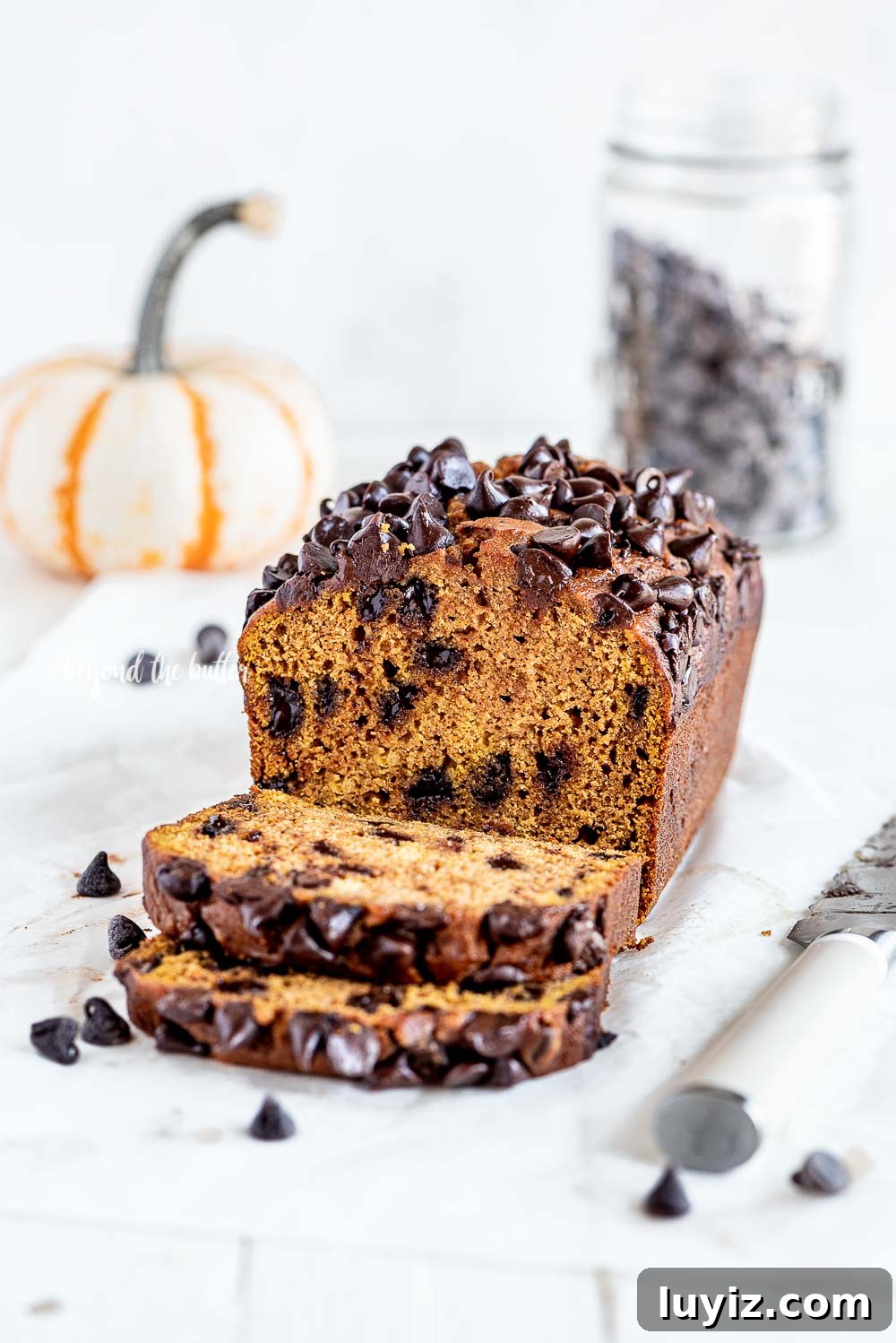 One-Bowl Chocolate Chip Pumpkin Bread Recipe 5 One Bowl Chocolate Chip Pumpkin Bread recipe | All Images © Beyond the Butter, LLC