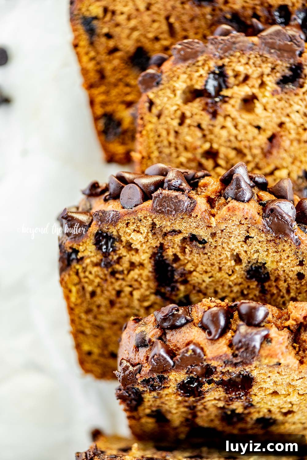 One-Bowl Chocolate Chip Pumpkin Bread Recipe 6 Chocolate Chip Pumpkin Bread | All Images © Beyond the Butter, LLC