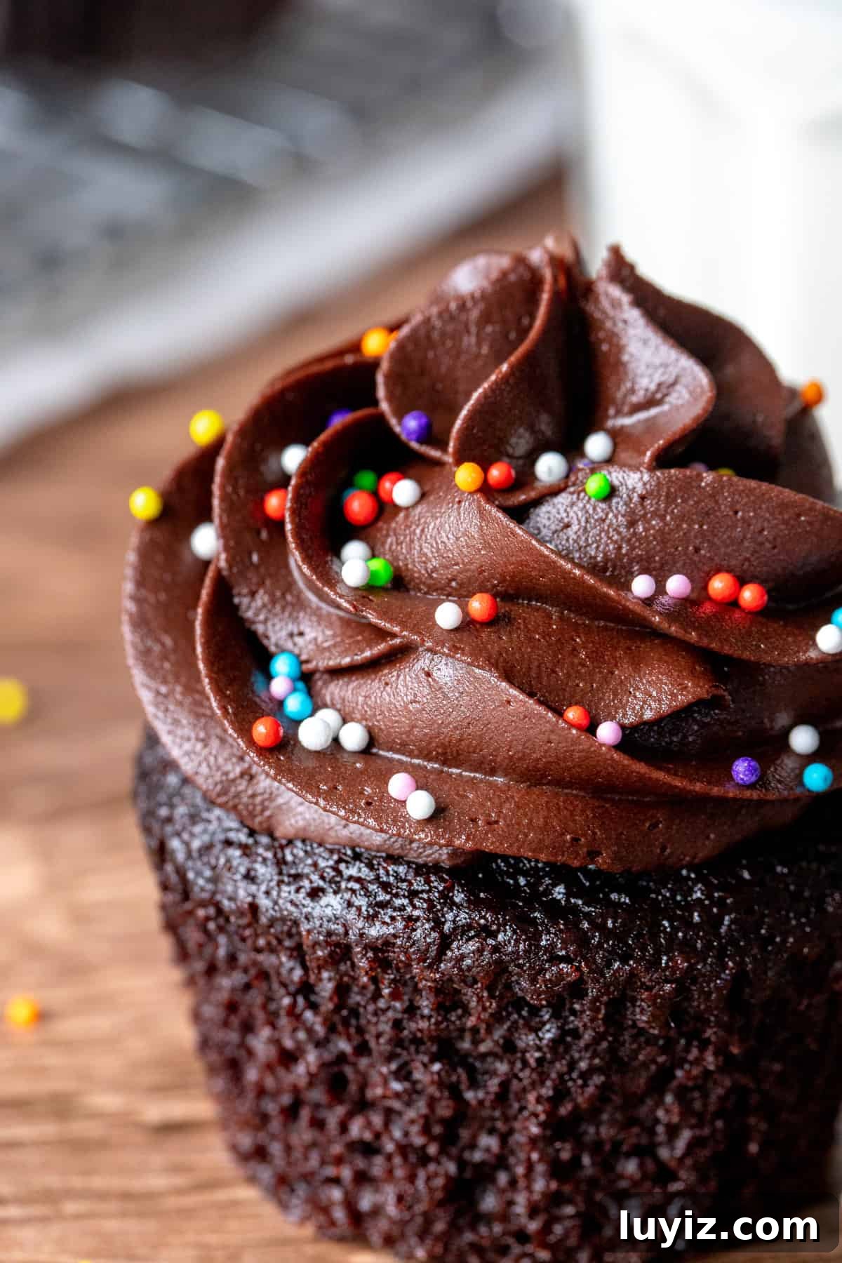 Decadent Double Chocolate Cupcakes Recipe 2 Chocolate cupcake with chocolate frosting