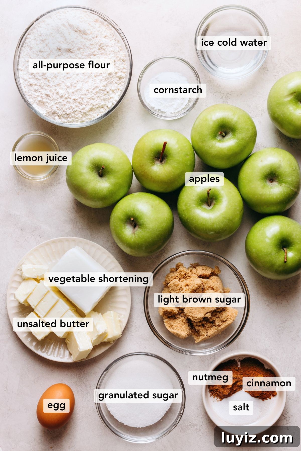 Classic Homemade Apple Pie Recipe for Perfect Crust and Filling 3 Ingredients in various size bowls and plates labeled as all purpose flour, cornstarch, ice cold water, lemon juice, apples, vegetable shortening, unsalted butter, light brown sugar, egg, granulated sugar, salt, nutmeg, and cinnamon on a white marbled background.
