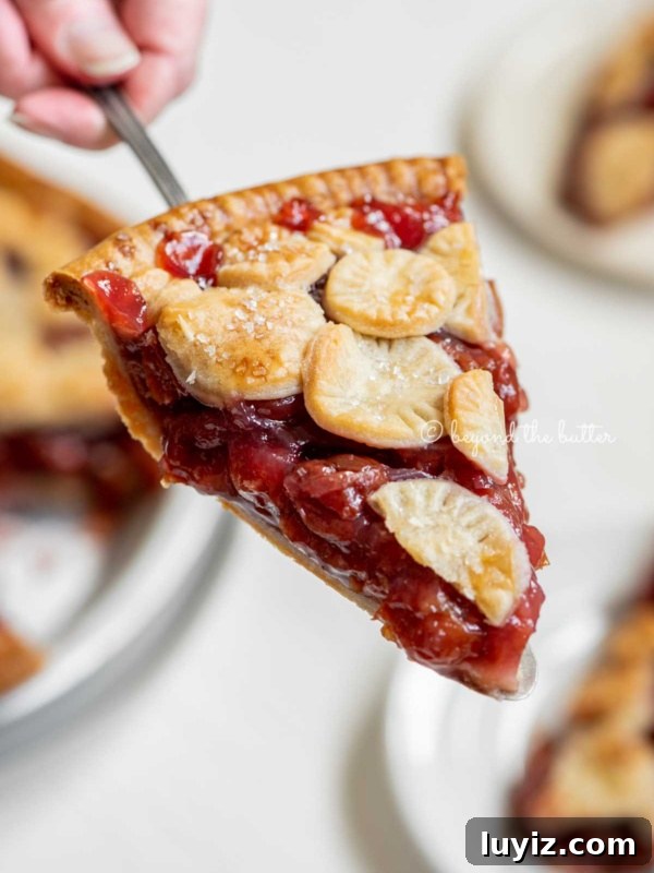 Classic Homemade Apple Pie Recipe for Perfect Crust and Filling 10 Hand holding a slice of homemade cherry pie with slices in the background.