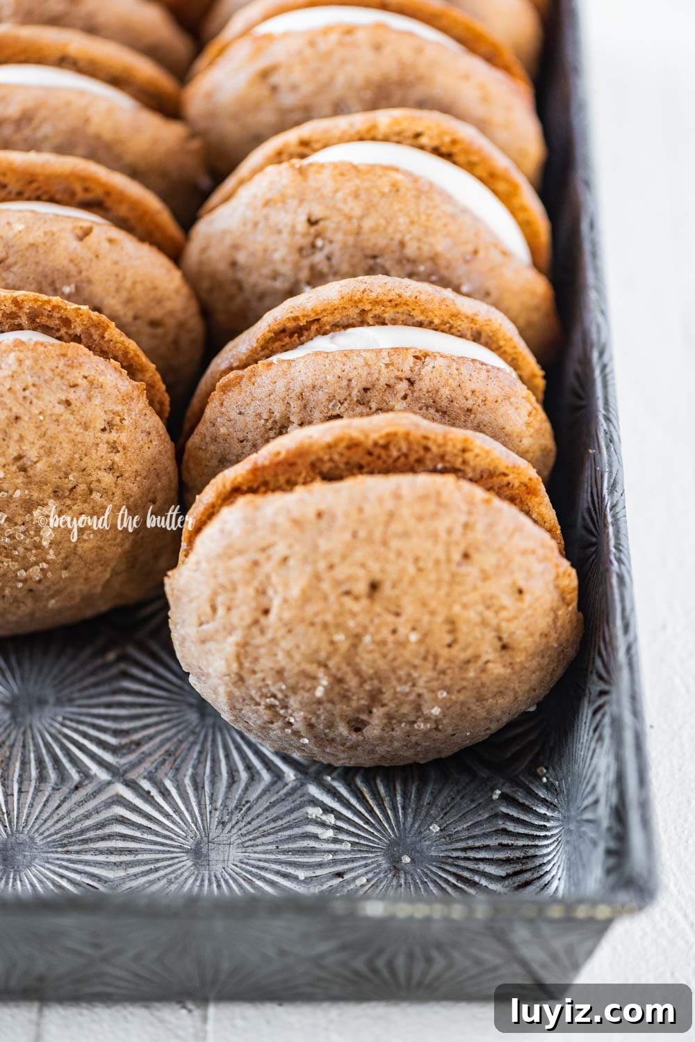 Apple Cider Whoopie Pies with Cinnamon Buttercream Filling 6 The Best Apple Cider Whoopie Pies recipe | All Images © Beyond the Butter, LLC