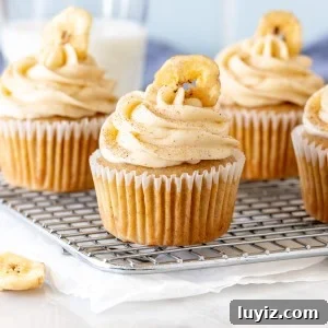 Banana Cupcakes with Cream Cheese Frosting Recipe 11 Banana Cupcakes with Cinnamon Cream Cheese Frosting with banana chips on top