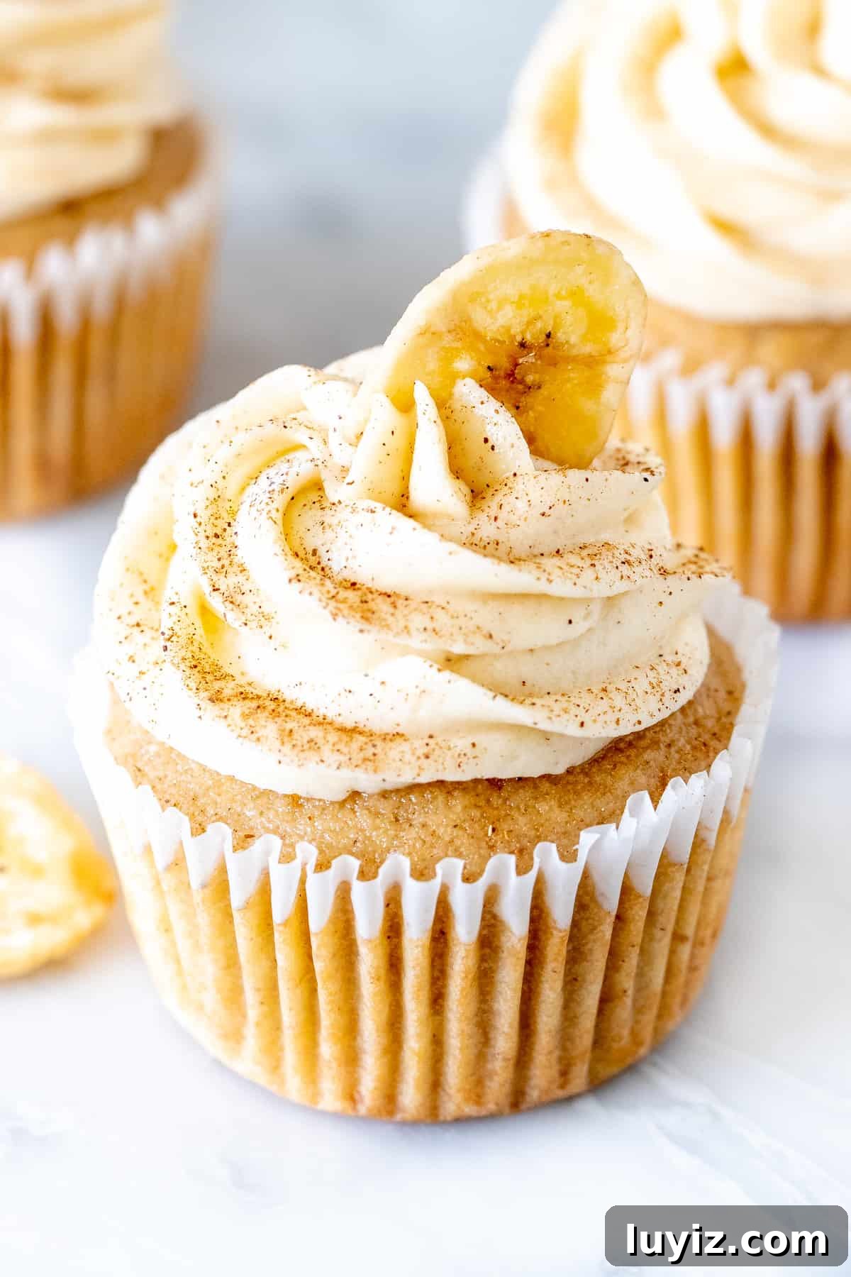 Banana Cupcakes with Cream Cheese Frosting Recipe 3 Banana cupcake frosted with cinnamon cream cheese frosting and topped with a banana chip