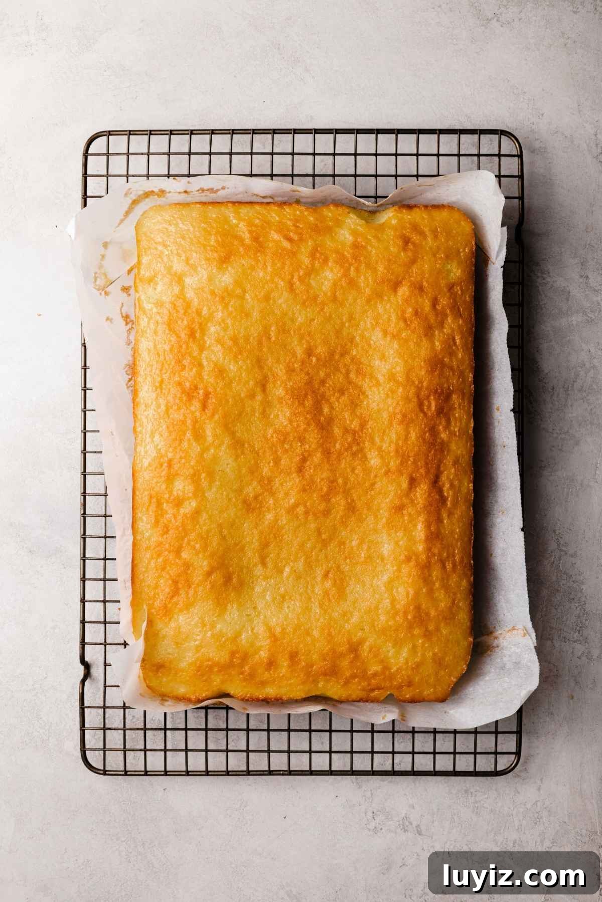 Butterscotch Krimpet Sheet Cake Recipe — Moist Retro Dessert 11 Vanilla sponge cake cooling on a parchment paper lined cooling rack on a white and grey textured background.