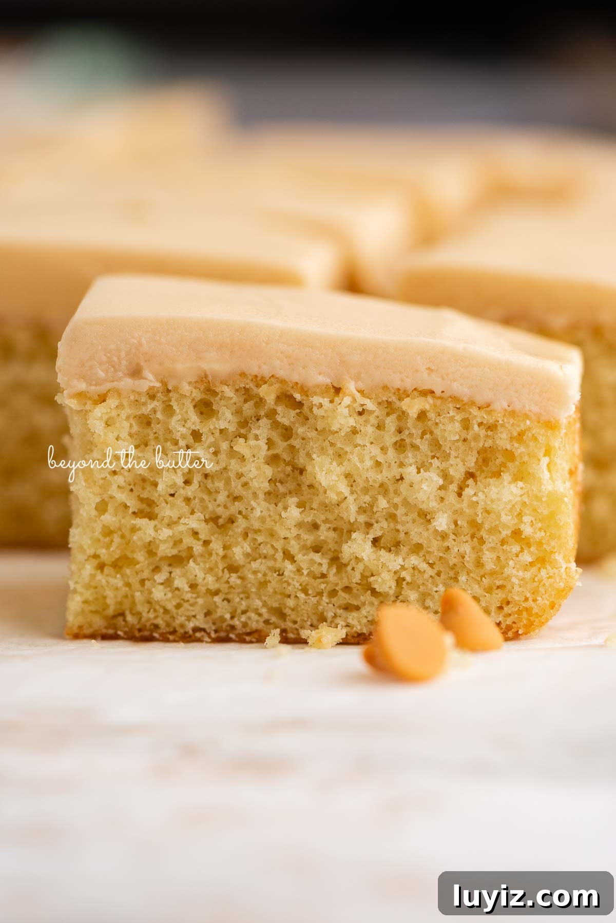 Butterscotch Krimpet Sheet Cake Recipe — Moist Retro Dessert 16 Rectangular slices of butterscotch krimpets placed on a parchment paper lined background with two butterscotch chips in foreground.