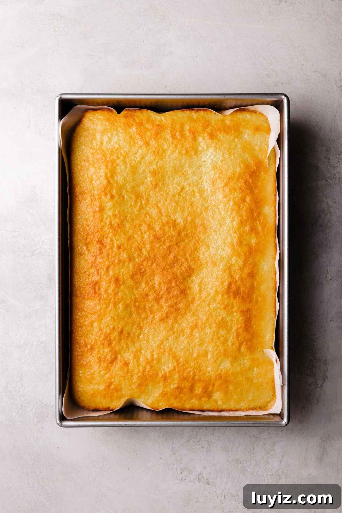 Butterscotch Krimpet Sheet Cake Recipe — Moist Retro Dessert 10 Baked vanilla sponge cake in a parchment paper lined metal baking pan on a white and grey textured background.