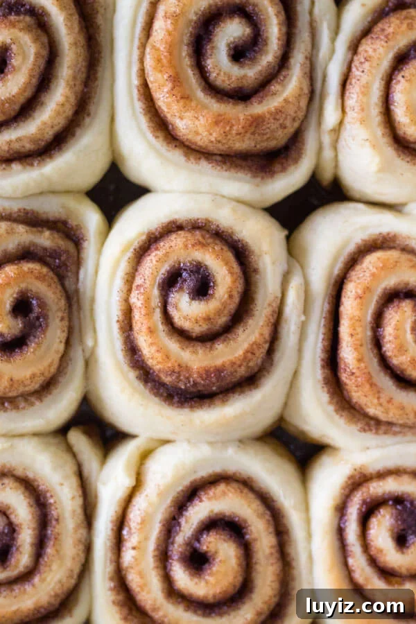 Fluffy Eggnog Cinnamon Rolls with Creamy Eggnog Glaze 4 Eggnog Cinnamon Rolls. These super fluffy cinnamon buns are made with eggnog, filled with spices, and drizzled with eggnog glaze.