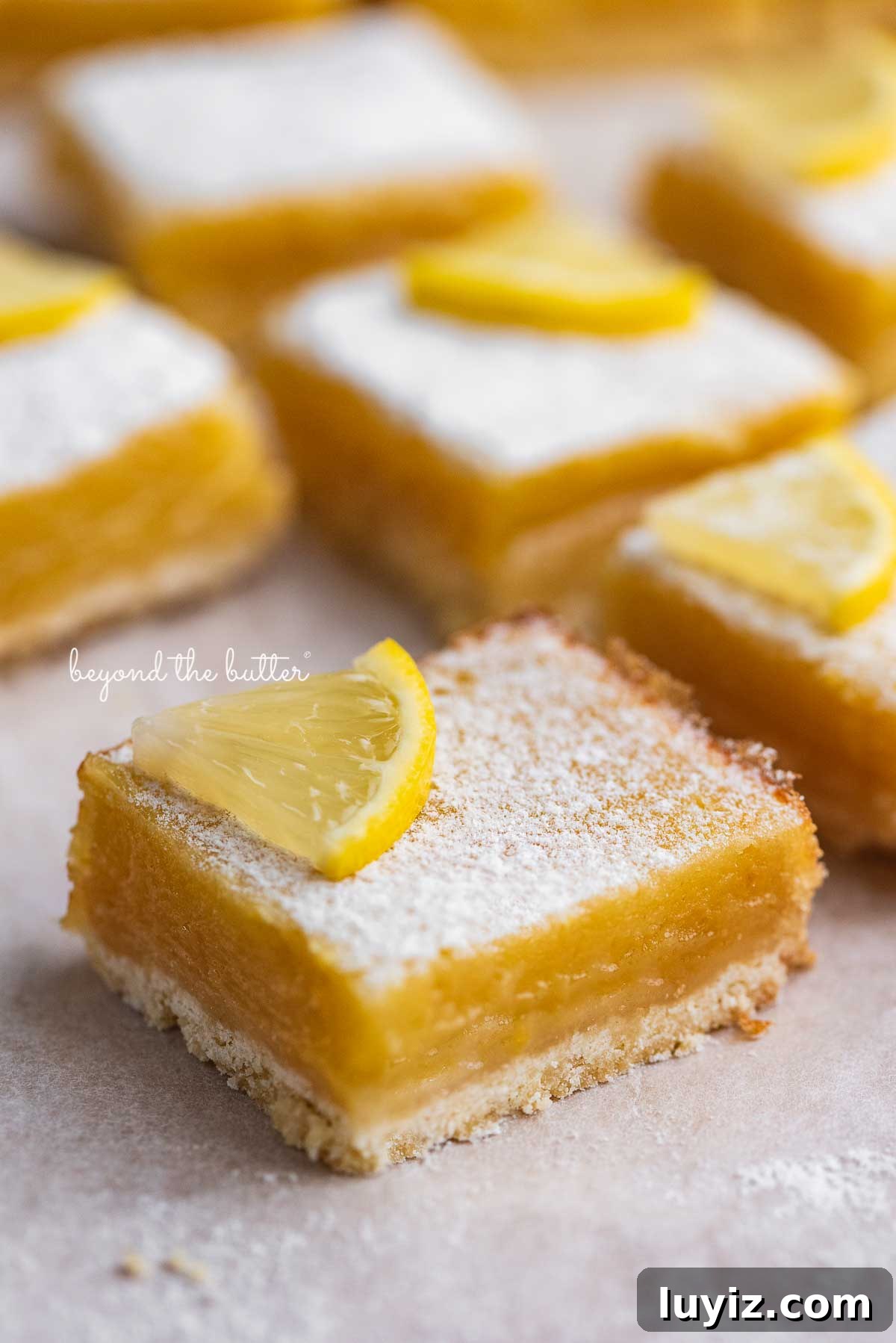 Simple Homemade Lemon Bars – Zesty Citrus Dessert Recipe 5 Super easy lemon bars on parchment paper | © Beyond the Butter®