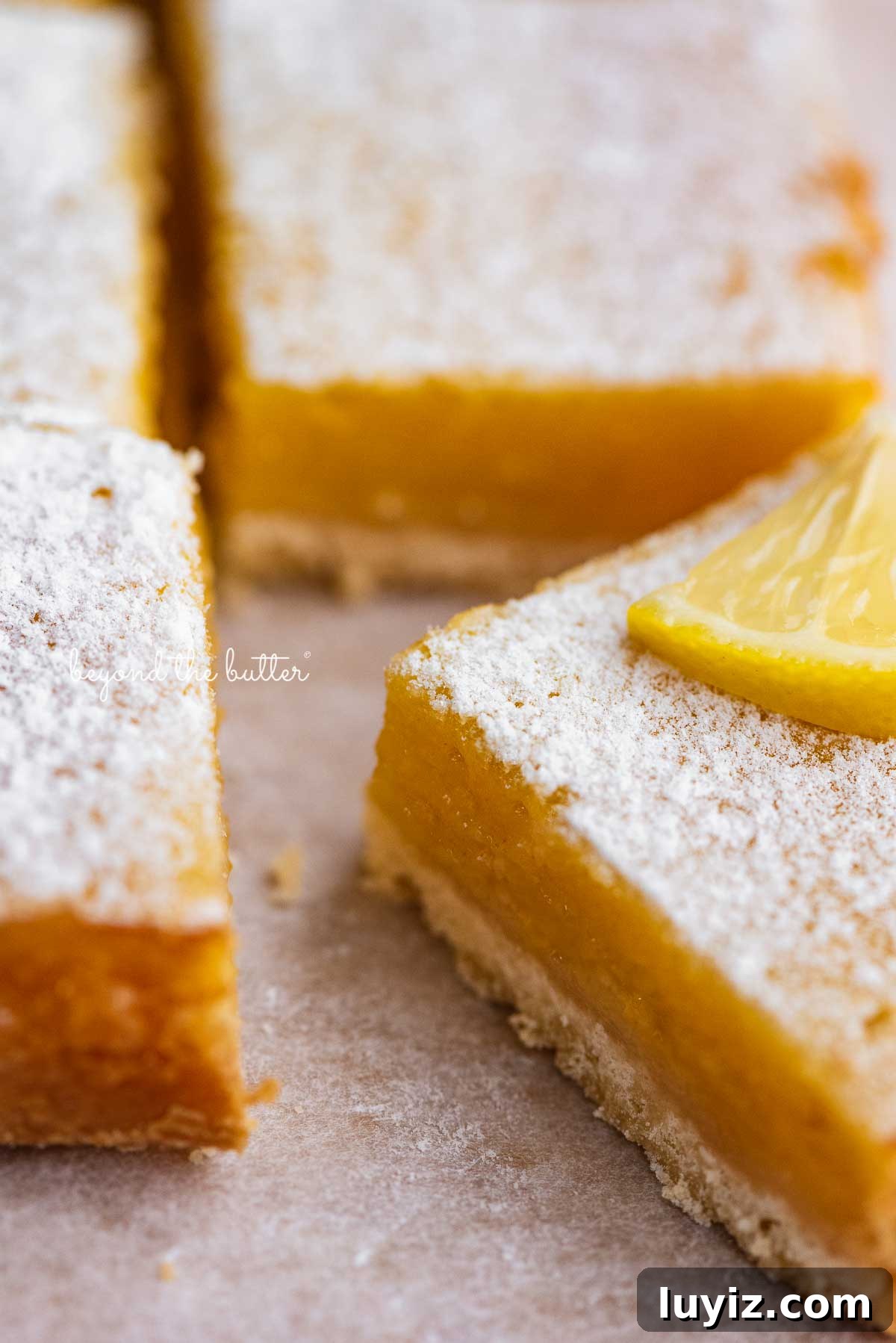 Simple Homemade Lemon Bars – Zesty Citrus Dessert Recipe 9 Super easy lemon bars on parchment paper | © Beyond the Butter®