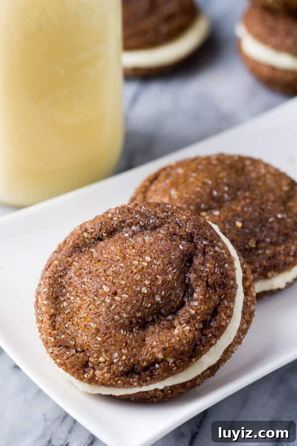Ginger Molasses Sandwich Cookies with Eggnog Buttercream 2 Ginger Molasses Sandwich Cookies. Two soft and chewy ginger molasses cookies sandwiched with eggnog frosting and filled with Christmas spirit. www.justsotasty.com