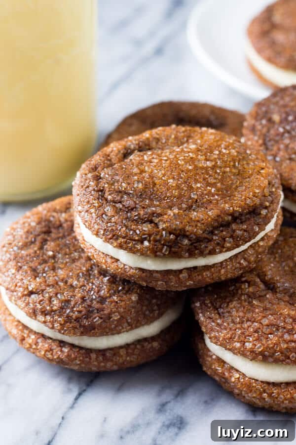 Ginger Molasses Sandwich Cookies with Eggnog Buttercream 3 Ginger Molasses Sandwich Cookies. Two soft and chewy ginger molasses cookies sandwiched with eggnog frosting and filled with Christmas spirit. www.justsotasty.com