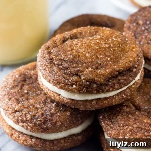 Ginger Molasses Sandwich Cookies with Eggnog Buttercream 5 Ginger Molasses Sandwich Cookies. Two soft and chewy ginger molasses cookies sandwiched with eggnog frosting and filled with Christmas spirit. www.justsotasty.com