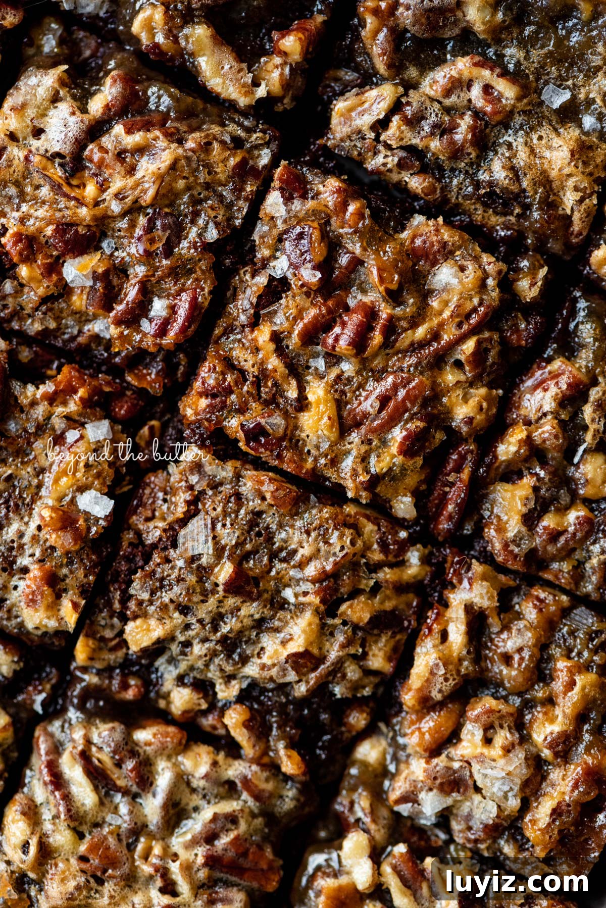 Salted Pecan Pie Brownies Recipe: Gooey Chocolate with Crunch 7 Just sliced salted pecan pie brownies from BeyondtheButter.com | © Beyond the Butter®