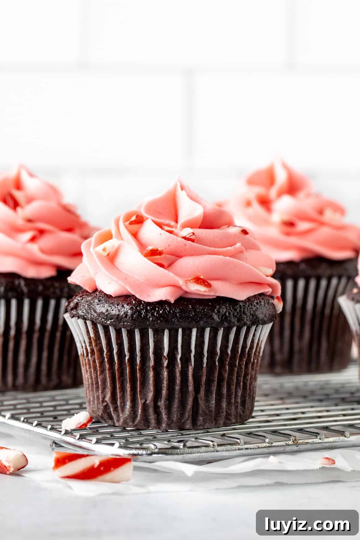Chocolate Candy Cane Cupcakes: Peppermint Swirl Holiday Treats 3 Chocolate cupcakes with pink peppermint frosting on a cooling rack
