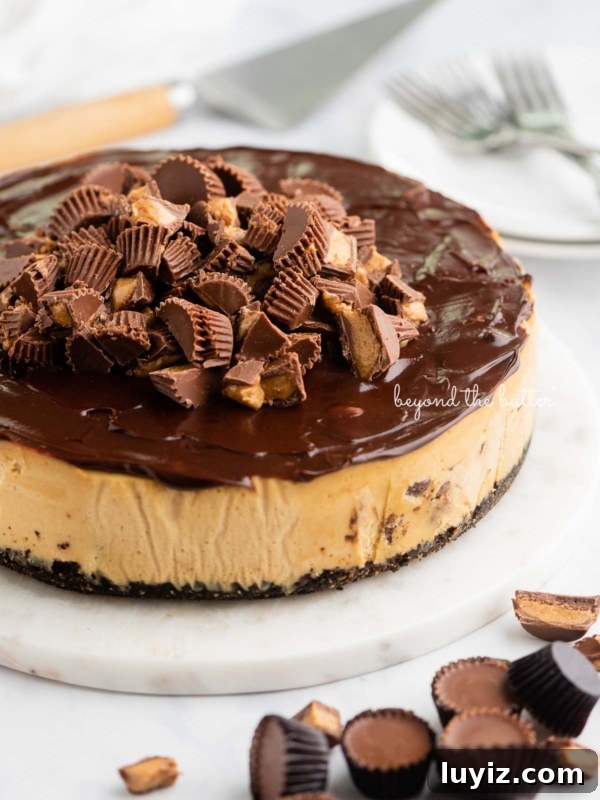 Decadent Chocolate Cupcakes with Peanut Butter Frosting 10 Peanut butter cheesecake topped with chocolate ganache and mini Reese's peanut butter cups on marble plate on white background.