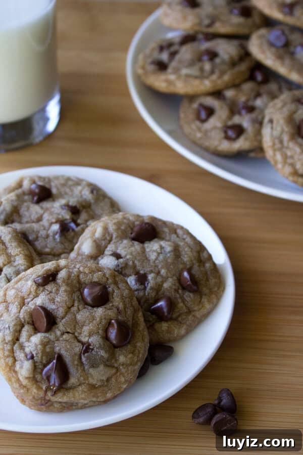 Ultimate Chocolate Chip Cookie Recipe for Perfect Crispy-Soft Cookies 2 Chocolate Chip Cookies. Ultra chewy, soft, thick, buttery & oozing with chocolate chips - these cookies are perfection.