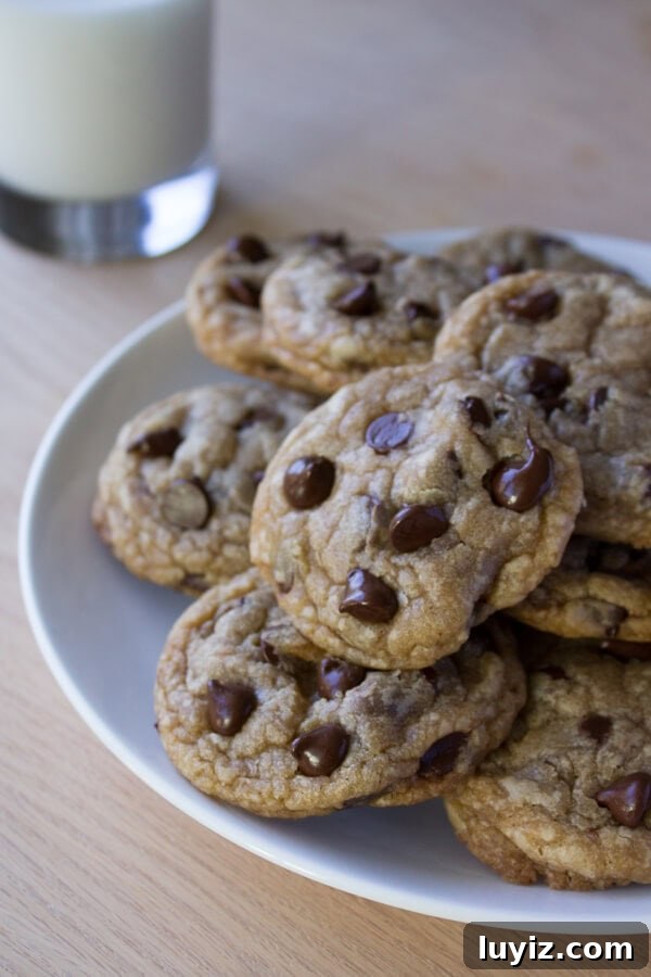 Ultimate Chocolate Chip Cookie Recipe for Perfect Crispy-Soft Cookies 5 Chocolate Chip Cookies. Ultra chewy, soft, thick, buttery & oozing with chocolate chips - these cookies are perfection.