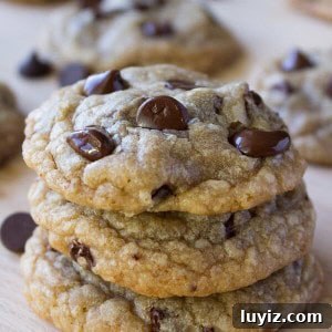 Ultimate Chocolate Chip Cookie Recipe for Perfect Crispy-Soft Cookies 6 Chocolate Chip Cookies. Ultra chewy, soft, thick, buttery & oozing with chocolate chips - these cookies are perfection.
