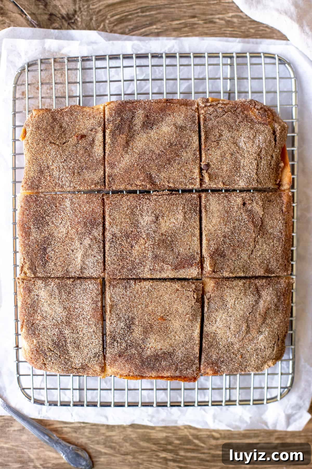 Chewy Snickerdoodle Cookie Bars Recipe for Soft Cinnamon Squares 3 9 snickerdoodle cookie bars on a cooling rack