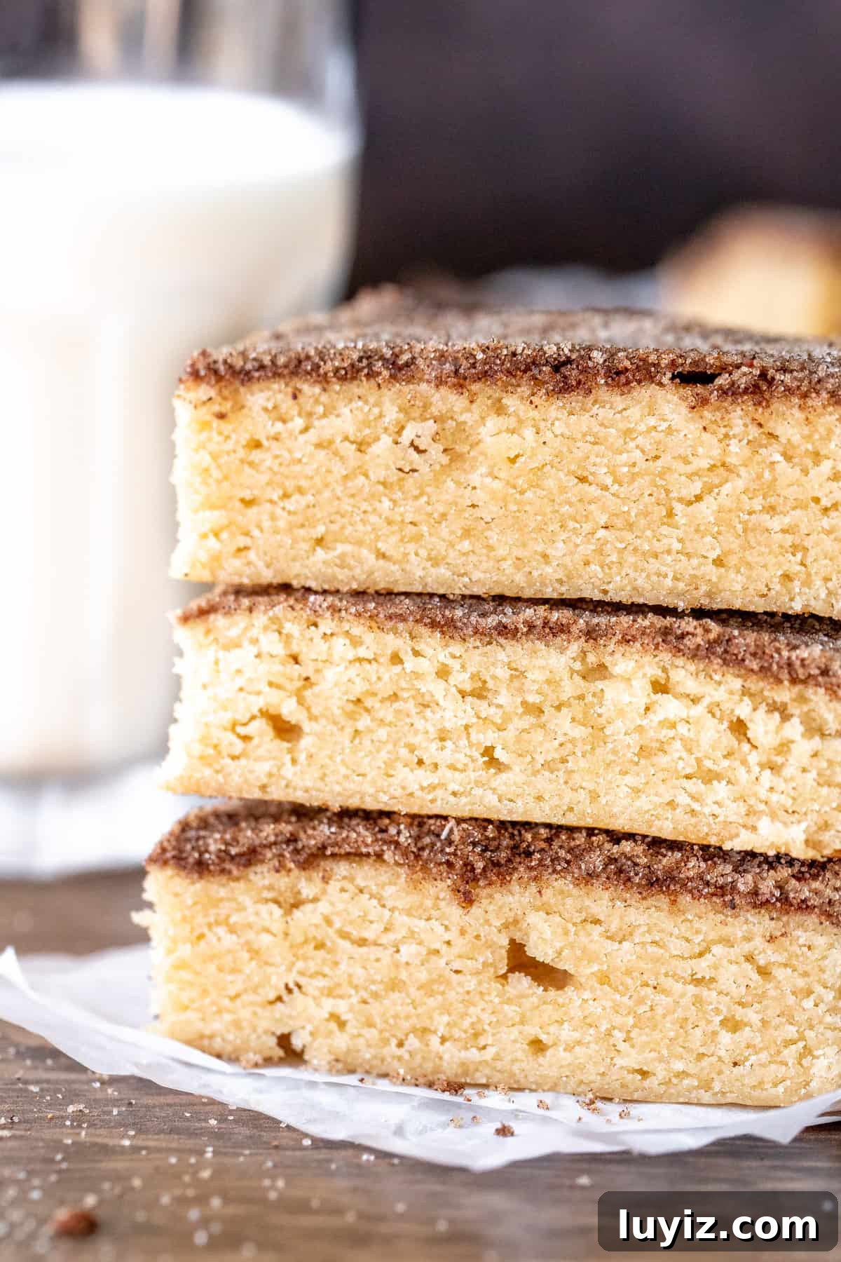 Chewy Snickerdoodle Cookie Bars Recipe for Soft Cinnamon Squares 8 3 cookie bars with cinnamon sugar topping, stacked one on top of eachother