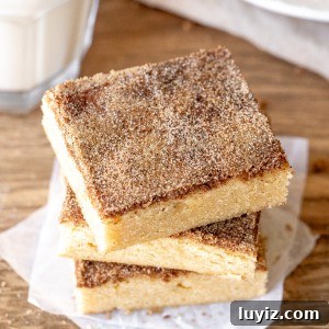 Stack of 3 snickerdoodle cookie bars