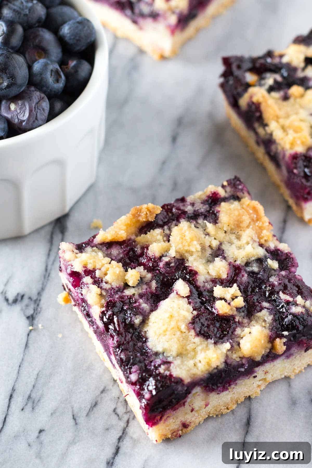 Top-Rated Recipes from 2016: Crowd Favorites & Timeless Dishes 11 A buttery shortbread-like base, juicy blueberry filling & crumbly crumble topping - these Blueberry Crumble Bars are so easy & delicious!