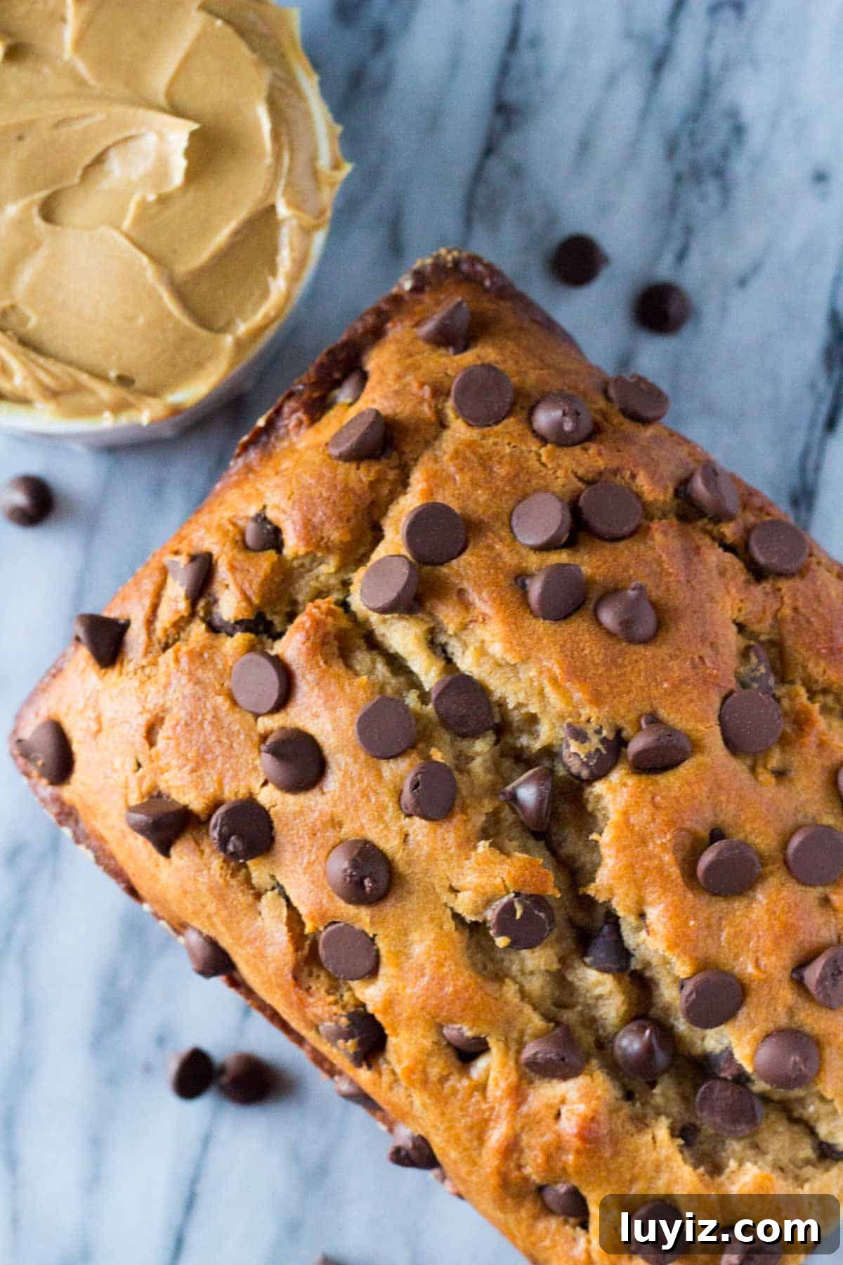 Top-Rated Recipes from 2016: Crowd Favorites & Timeless Dishes 4 Skip the toast and make this super soft, extra flavorful, ridiculously moist Peanut Butter Chocolate Chip Bread.