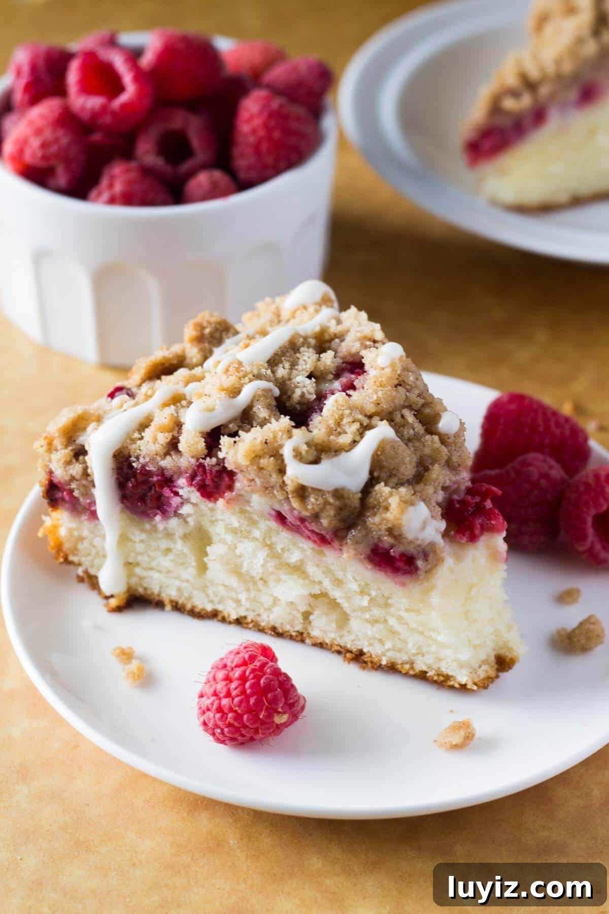 Top-Rated Recipes from 2016: Crowd Favorites & Timeless Dishes 7 Rich, buttery, perfectly moist Raspberry Coffee Cake with Streusel Topping and Vanilla Glaze! So perfect for breakfast or brunch!