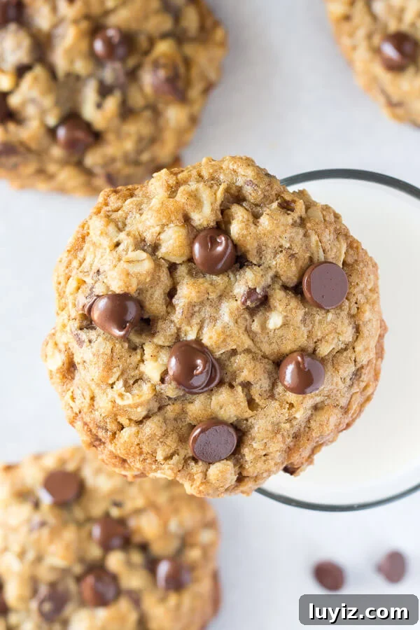 Top-Rated Recipes from 2016: Crowd Favorites & Timeless Dishes 10 These soft and chewy oatmeal chocolate chip cookies are made with brown sugar, old fashioned oats, chopped walnuts & lots of chocolate chips for the perfect bakery-style cookie. You'll love how easy they are to make. www.justsotasty.com