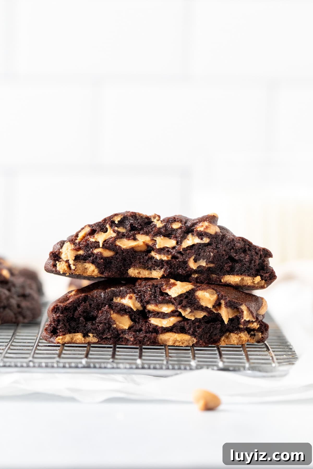 Dark Chocolate Peanut Butter Chip Cookies Recipe for Decadent Treats 3 Dark chocolate peanut butter chip cookie broken in half on a cooling rack