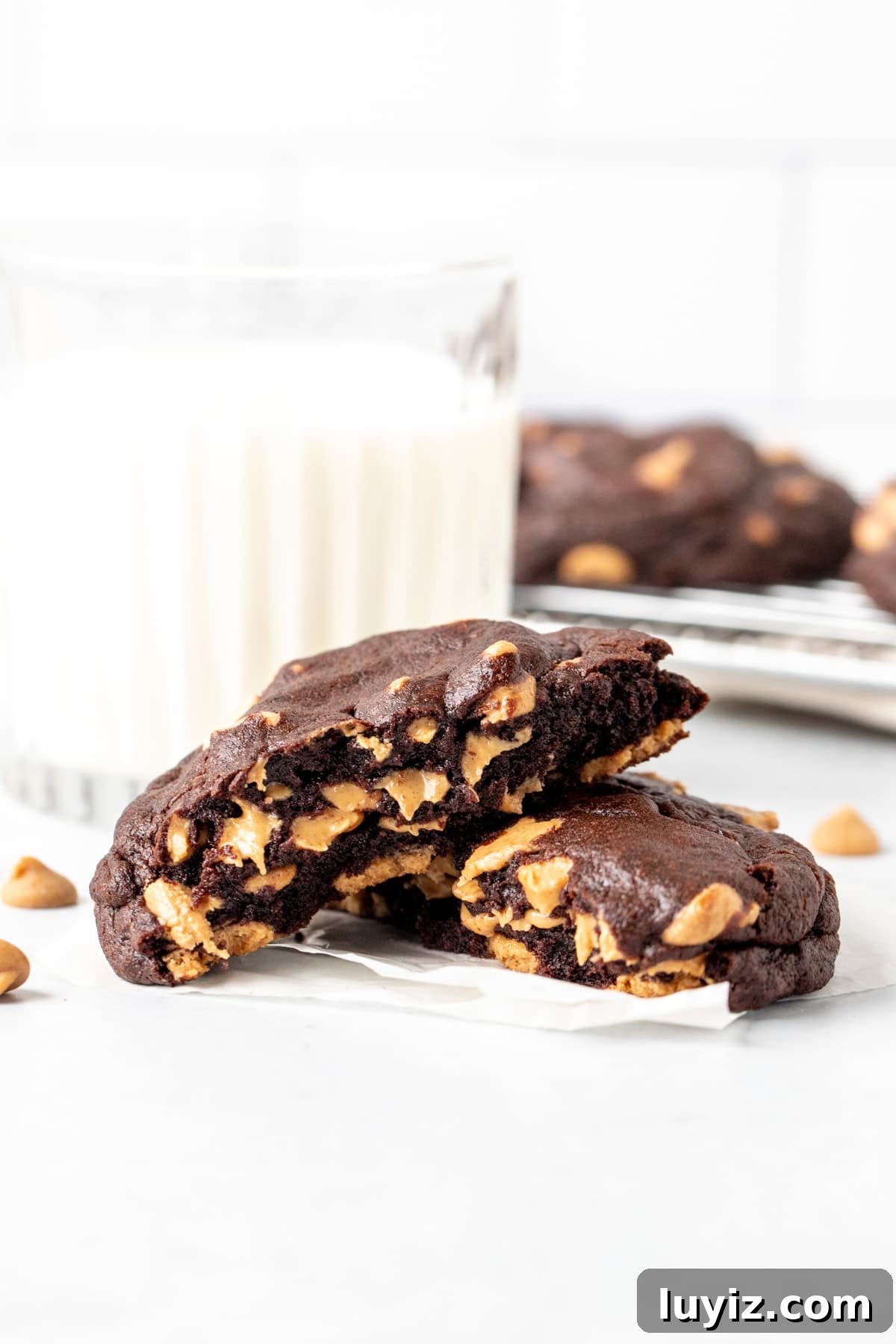 Dark Chocolate Peanut Butter Chip Cookies Recipe for Decadent Treats 5 Dark chocolate peanut butter chip cookie, broken in half with glass of milk