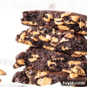Dark Chocolate Peanut Butter Chip Cookies Recipe for Decadent Treats 6 Stack of halves of dark chocolate peanut butter chip cookies.