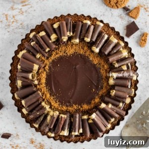 Dark Chocolate Gingersnap Tart Recipe for Decadent Dessert 12 Dark Chocolate Gingersnap Tart recipe | All images © Beyond the Butter, LLC