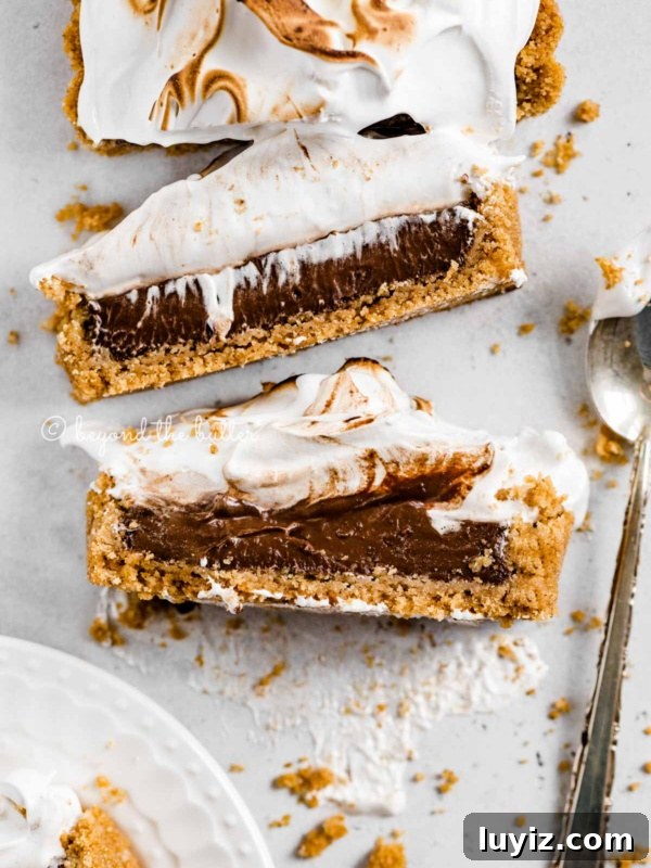Dark Chocolate Gingersnap Tart Recipe for Decadent Dessert 8 Overhead image of chocolate marshmallow tart with 2 slices cut and laid on their side.
