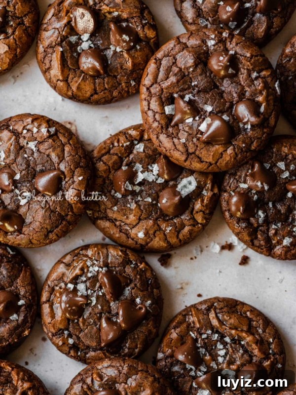 Salted brownie cookies on abstract light brown background.