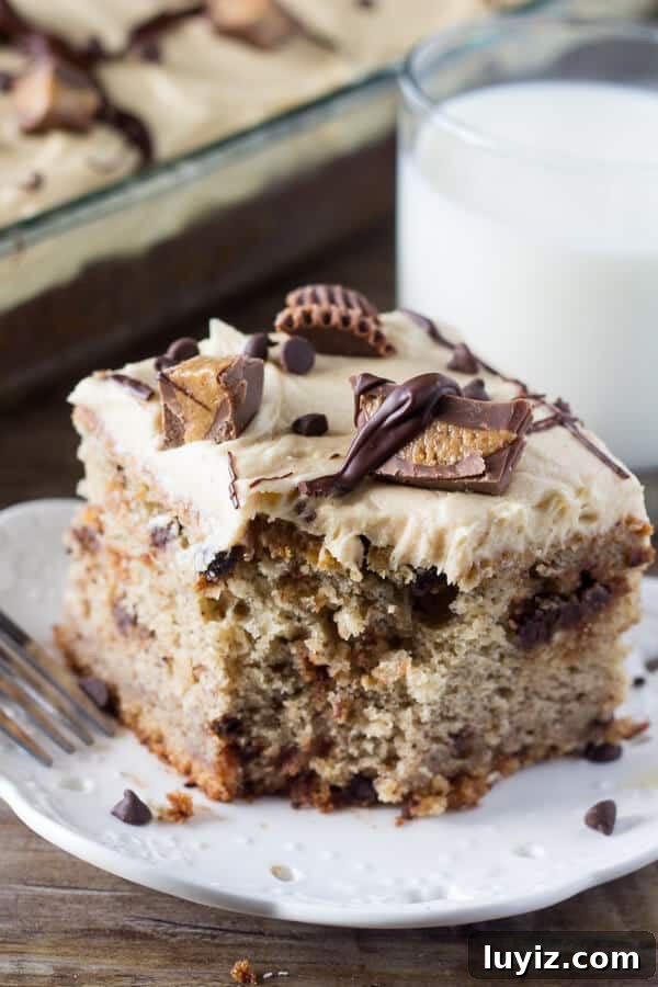Chocolate Chip Banana Cake with Peanut Butter Frosting Recipe 2 Chocolate Chip Banana Cake with Peanut Butter Frosting. A perfectly moist banana cake filled with chocolate chips and frosted with creamy peanut butter frosting. www.justsotasty.com