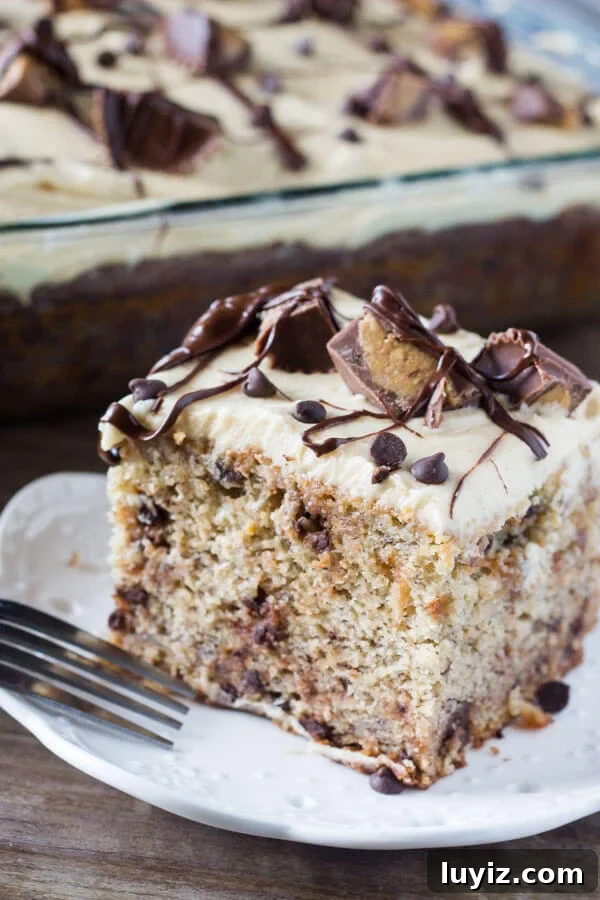 Chocolate Chip Banana Cake with Peanut Butter Frosting Recipe 4 Chocolate Chip Banana Cake with Peanut Butter Frosting. A perfectly moist banana cake filled with chocolate chips and frosted with creamy peanut butter frosting. www.justsotasty.com