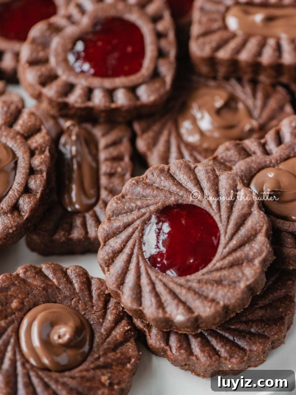 Chocolate-Dipped Graham Cracker Cookies with Sea Salt 14 Closeup image of chocolate thumbprint cookies on white dessert plate.
