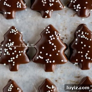 Chocolate-Dipped Graham Cracker Cookies with Sea Salt 15 Chocolate Dipped Graham Cracker Chrismtas Trees on a wax paper lined cookie sheet.