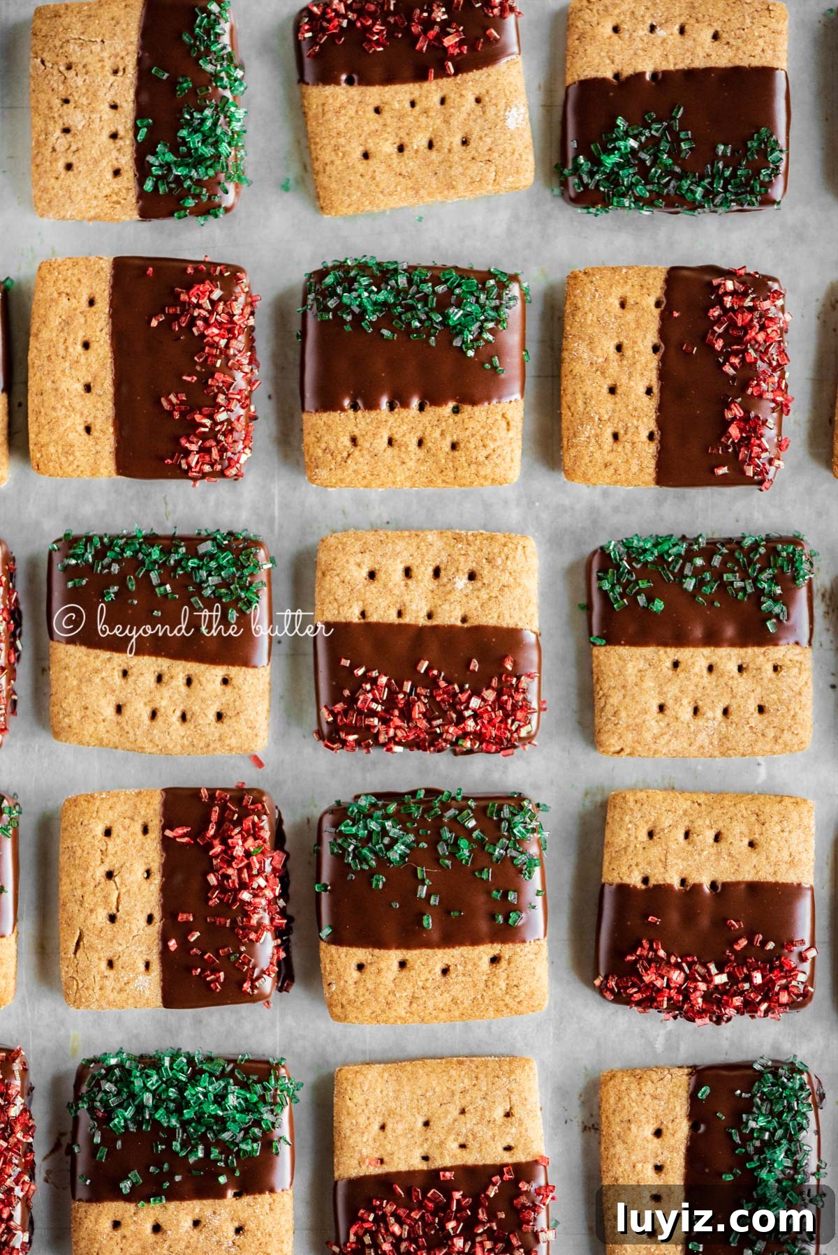 Chocolate-Dipped Graham Cracker Cookies with Sea Salt 3 Cookie sheet with rows of Chocolate Dipped Graham Cracker Sqaures | © Beyond the Butter®
