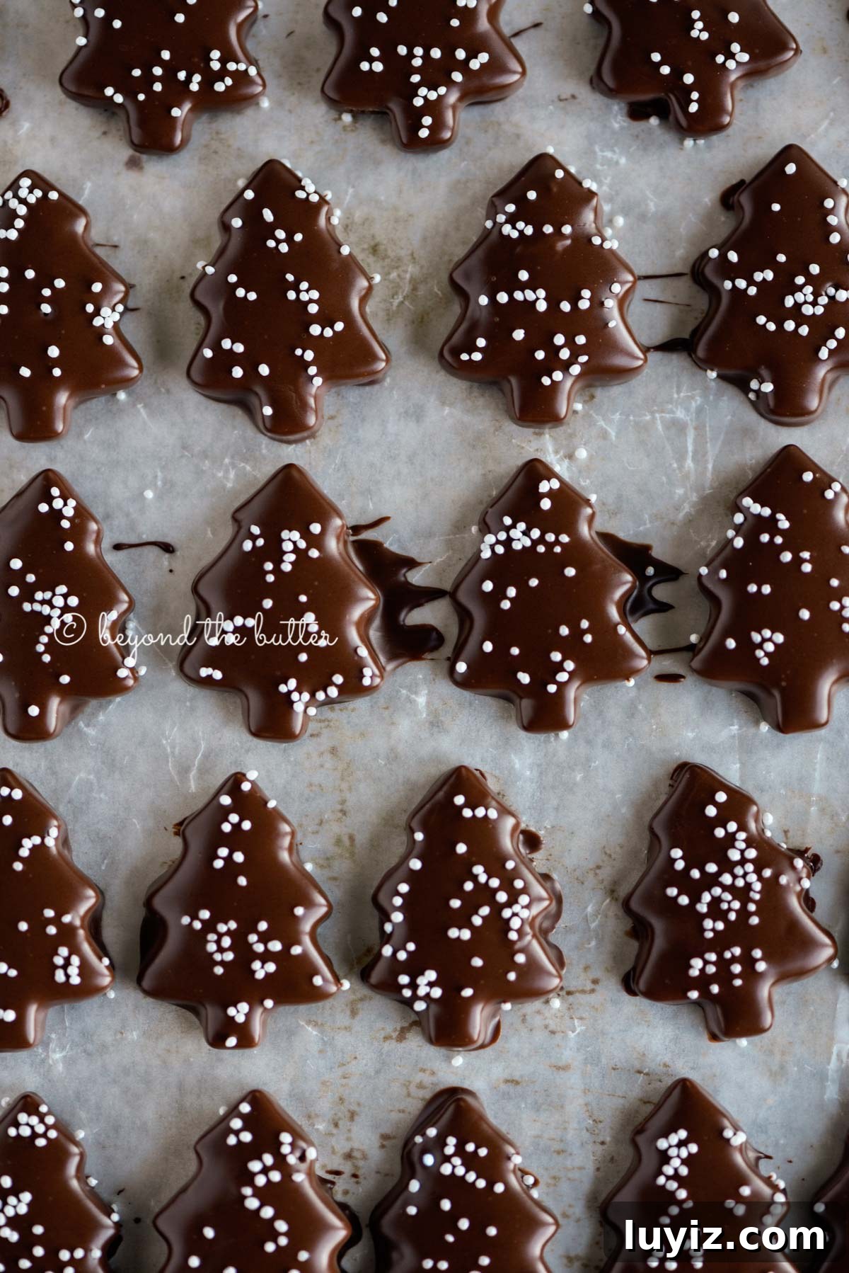 Chocolate-Dipped Graham Cracker Cookies with Sea Salt 5 Chocolate Dipped Graham Cracker Chrismtas Trees on a cookie sheet | © Beyond the Butter®