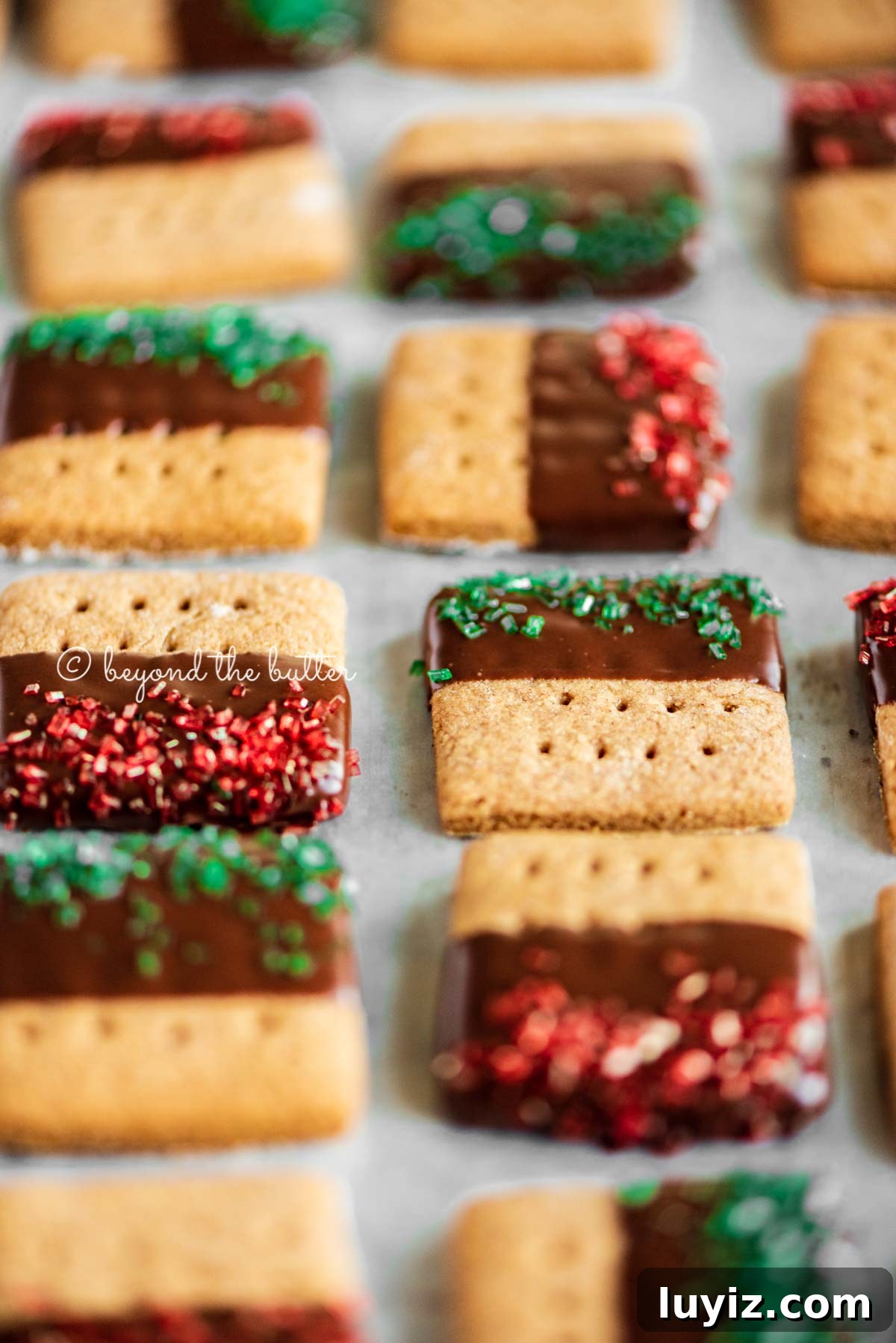 Chocolate-Dipped Graham Cracker Cookies with Sea Salt 6 Image of Chocolate Dipped Graham Cracker Sqaures on a cookie sheet | © Beyond the Butter®