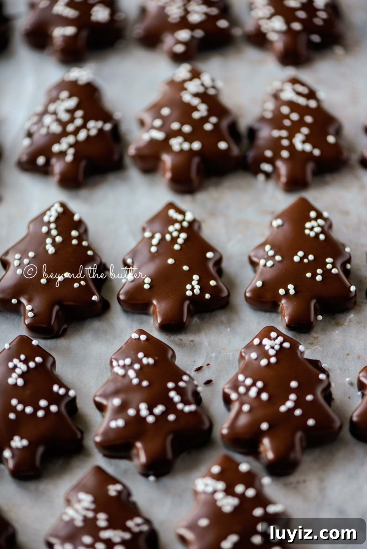 Chocolate-Dipped Graham Cracker Cookies with Sea Salt 7 Chocolate Dipped Graham Cracker Chrismtas Trees on a cookie sheet | © Beyond the Butter®